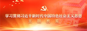 学习贯彻习近平新时代中国特色社会主义思想主题教育专题网